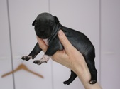 Enlarge photo 5