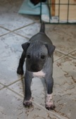 Enlarge photo 17
