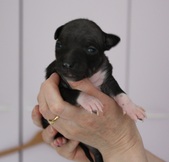 Enlarge photo 6