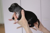 Enlarge photo 7