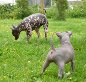 Enlarge photo 22