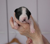 Enlarge photo 5