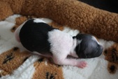 Enlarge photo 2