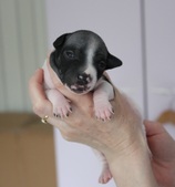 Enlarge photo 6