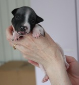 Enlarge photo 7
