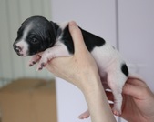 Enlarge photo 5
