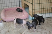 Enlarge photo 9