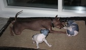 Enlarge photo 11