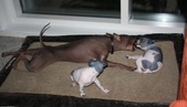 Enlarge photo 12