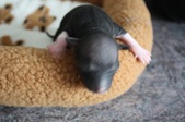 Enlarge photo 2