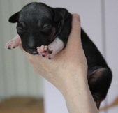Enlarge photo 5