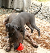 Enlarge photo 21