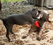 Enlarge photo 22