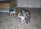 Enlarge photo 13