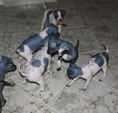 Enlarge photo 15