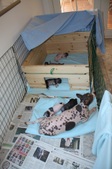 Enlarge photo 12