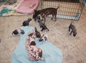 Enlarge photo 13