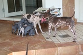 Enlarge photo 22