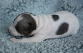 Enlarge photo 4