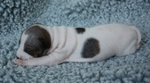 Enlarge photo 2