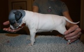 Enlarge photo 13