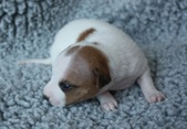 Enlarge photo 4