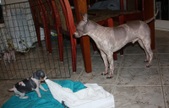 Enlarge photo 15