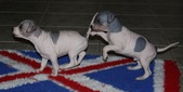 Enlarge photo 15