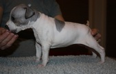 Enlarge photo 13