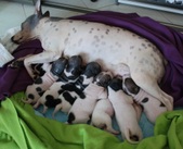 Enlarge photo 15