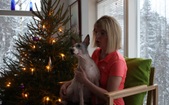 Enlarge photo 7
