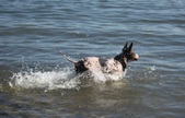 Enlarge photo 3