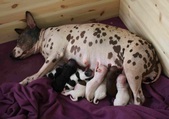 Enlarge photo 9