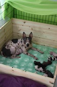 Enlarge photo 11