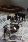 Enlarge photo 23