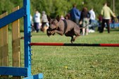 Enlarge photo 22
