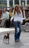 Enlarge photo 11