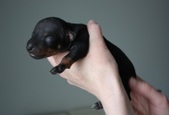 Enlarge photo 10