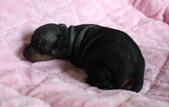 Enlarge photo 11