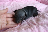Enlarge photo 15