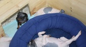 Enlarge photo 21