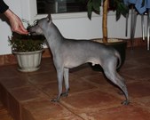 Enlarge photo 6