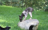 Enlarge photo 10