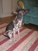 Enlarge photo 12