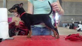 Enlarge photo 14