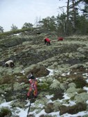 Enlarge photo 22