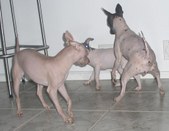 Enlarge photo 17
