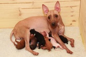 Enlarge photo 14