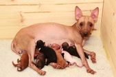 Enlarge photo 3