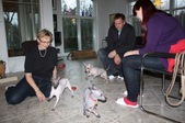 Enlarge photo 16